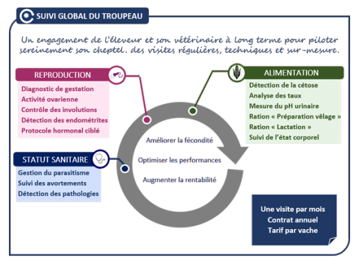 Schéma suivi global du troupeau