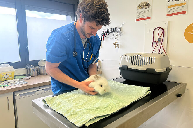 GSAB-Assurance-sante Assurance santé animale