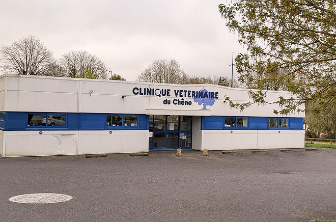 GSAB-Clinique-Pluvigner Clinique Vétérinaire de Pluvigner