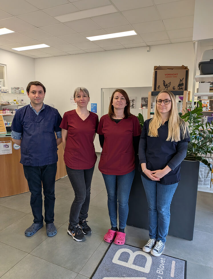 Vétérinaires de la clinique du Pluvigner