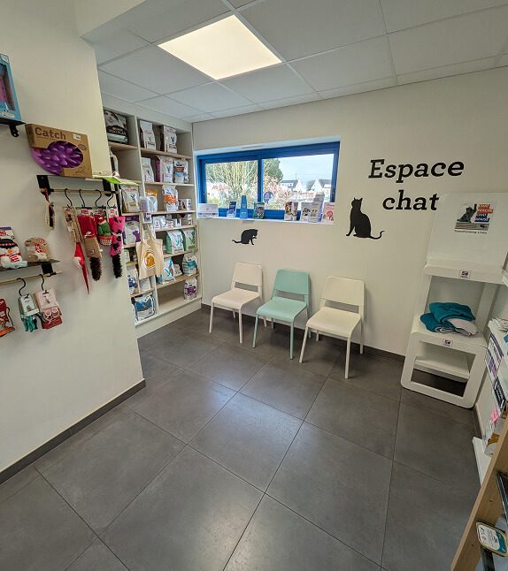 Espace chat de la clinique vétérinaire du Pluvigner