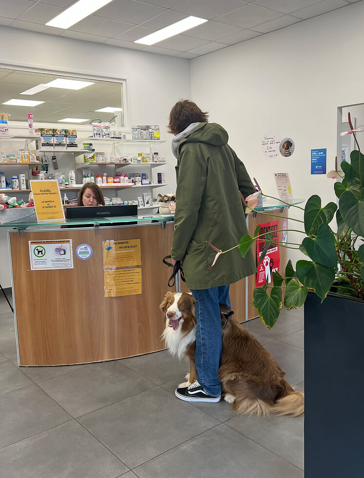 Accueil de la clinique vétérinaire du Pluvigner