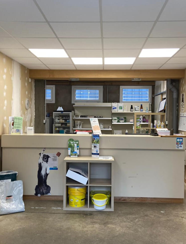 Accueil Cabinet Vétérinaire du Scorff à Guemené-sur-Scorff