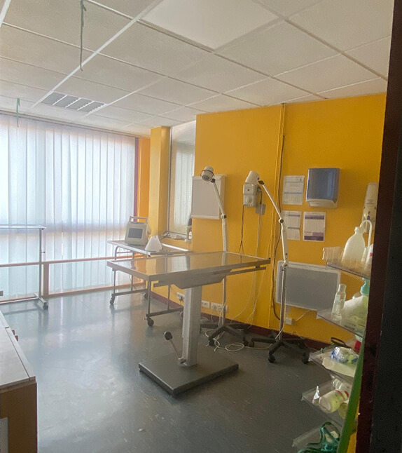 Salle de consultation vétérinaire du cabinet du Scorff
