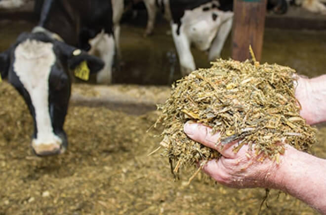 Alimentation (tarissement)